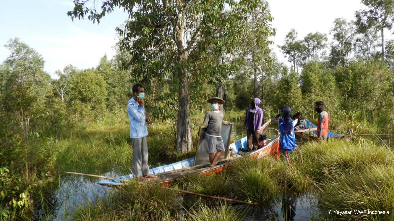 Pemerintah Kampung Minta ketika menangkap pelaku pencurian kayu di hutan kahoi. FOTO: GIZ PROPEAT